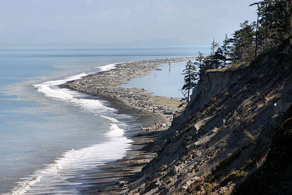 Spit Shoreline in Sequim